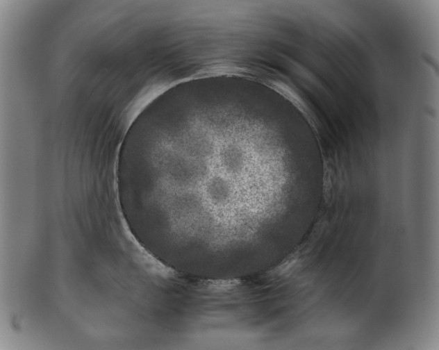 X0000101221055200807111052