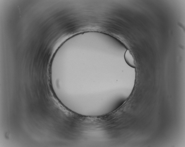 X0000101221056200807111052