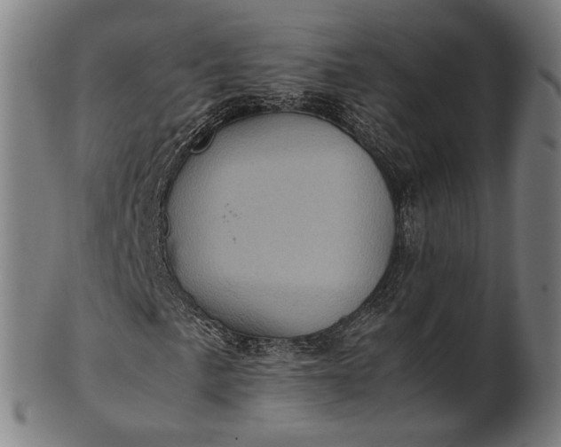 X0000101221057200807111051