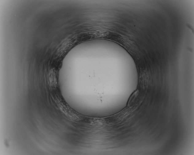 X0000101221058200807111051
