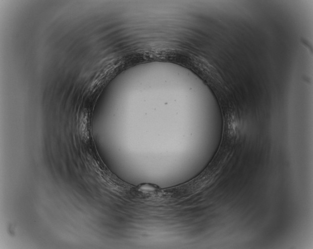 X0000101221060200807111051