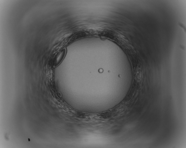 X0000101221061200807111051