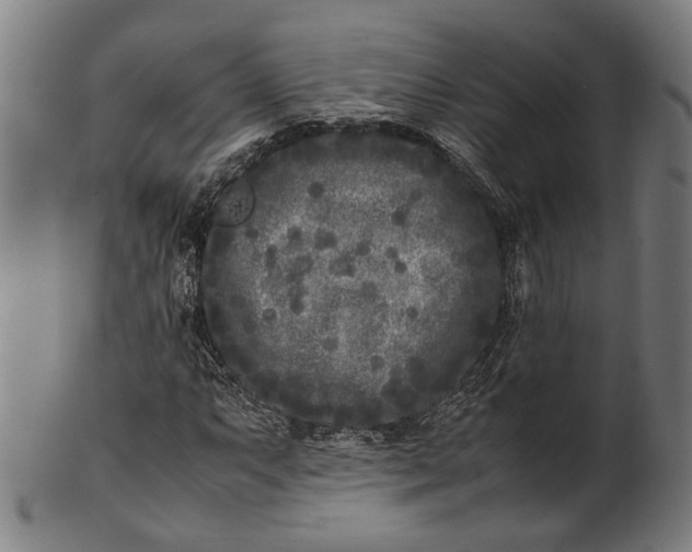 X0000101221063200807111051