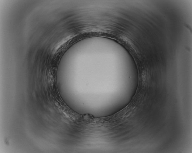 X0000101221064200807111051