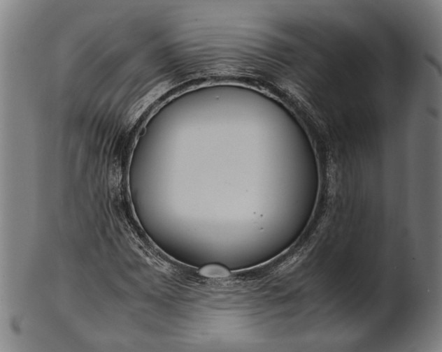 X0000101221065200807111051