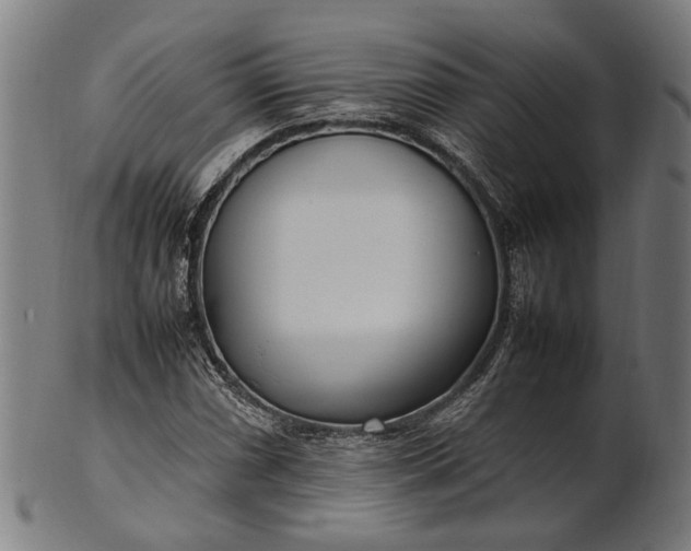 X0000101221066200807111051