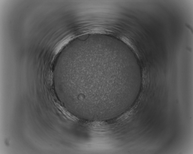 X0000101221067200807111051