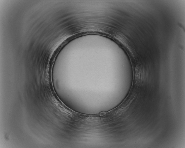 X0000101221068200807111051