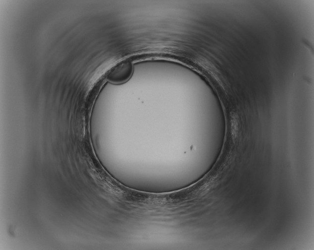 X0000101221069200807111051