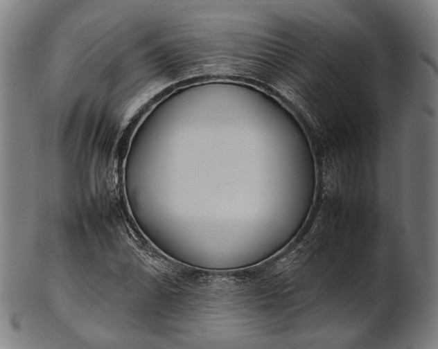 X0000101221070200807111051