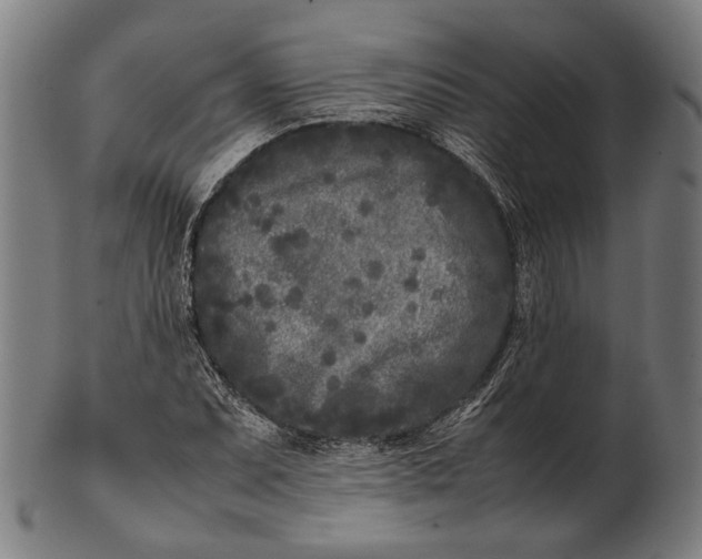 X0000101221071200807111051