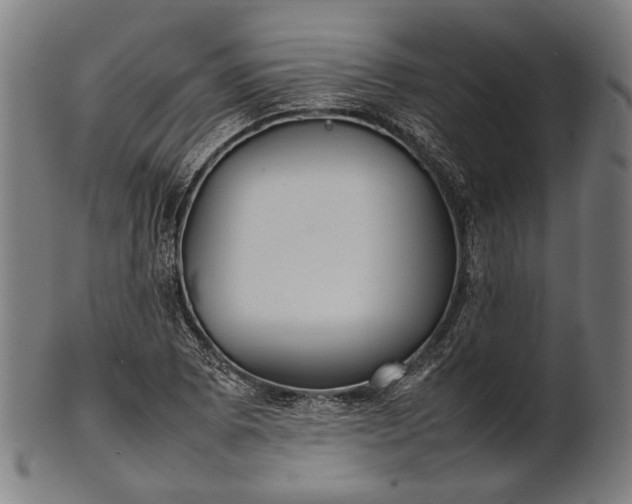 X0000101221073200807111051