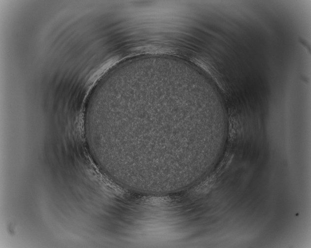 X0000101221074200807111051