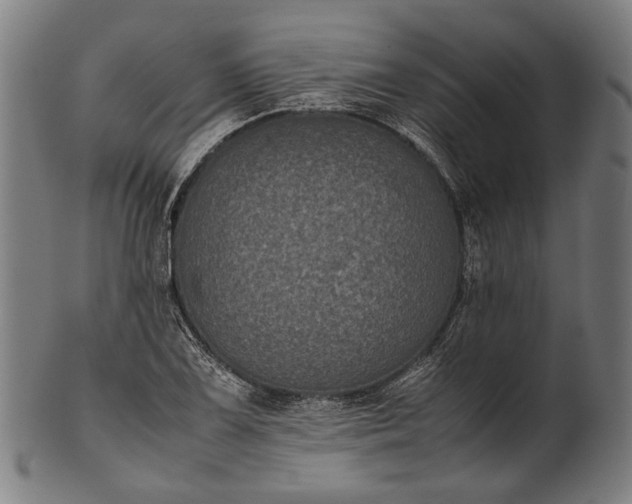 X0000101221075200807111051