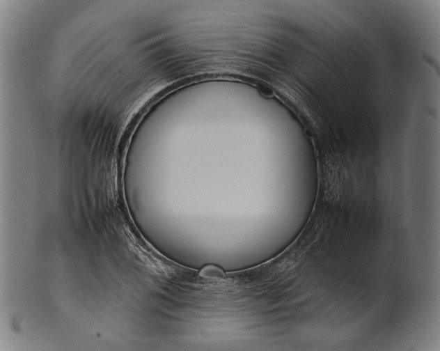 X0000101221076200807111051