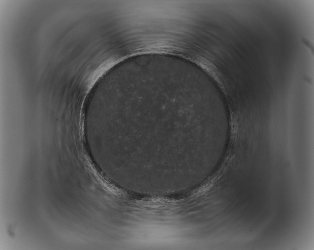 X0000101221077200807111051