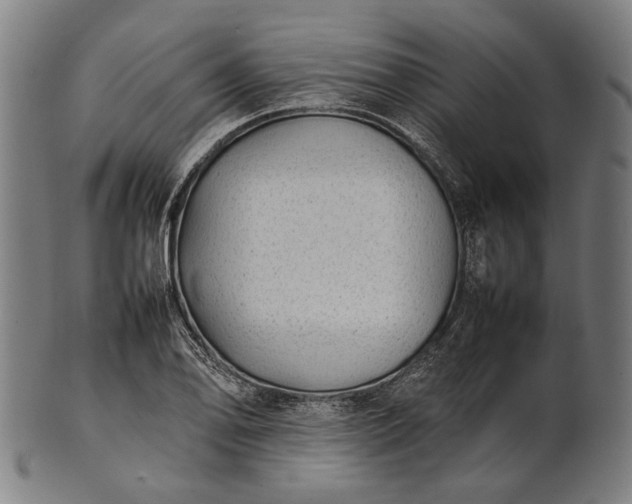 X0000101221078200807111051