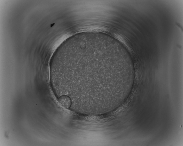 X0000101221079200807111051