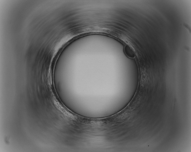 X0000101221080200807111051
