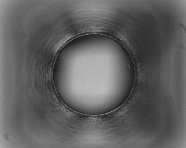 X0000101221081200807111051