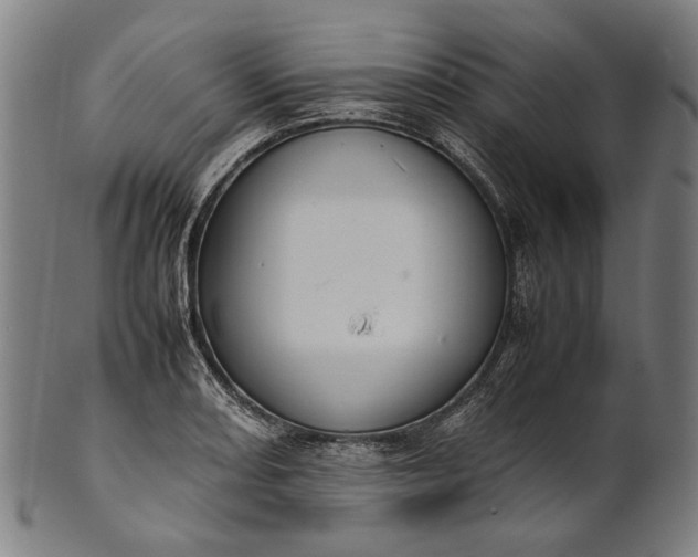 X0000101221082200807111051