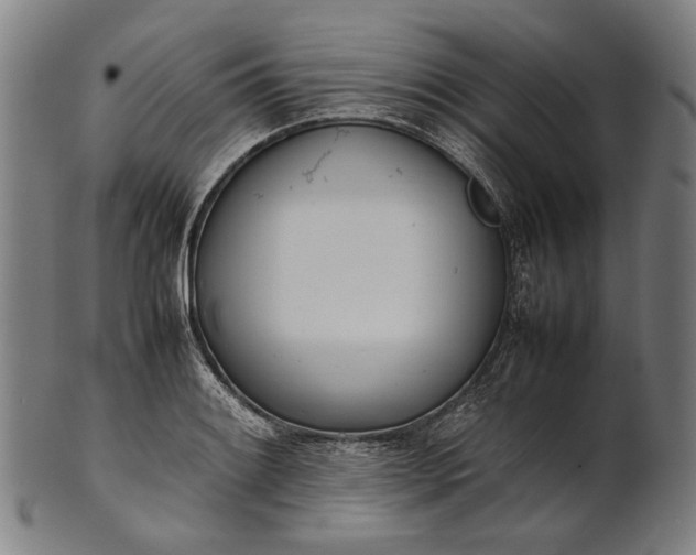 X0000101221084200807111051