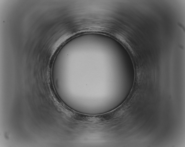 X0000101221085200807111051