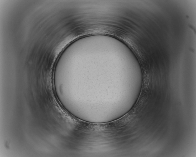 X0000101221086200807111051