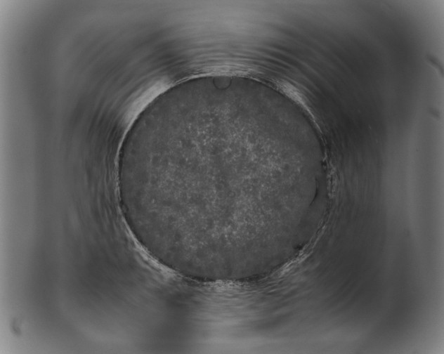 X0000101221087200807111051