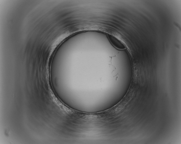X0000101221088200807111051