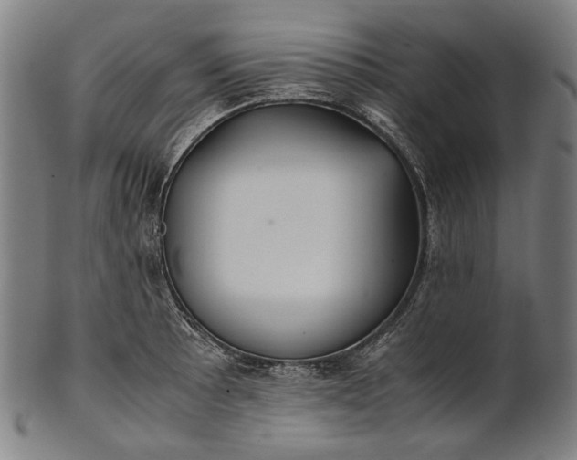 X0000101221089200807111051