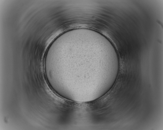 X0000101221090200807111051