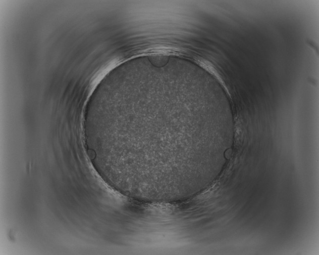 X0000101221091200807111051