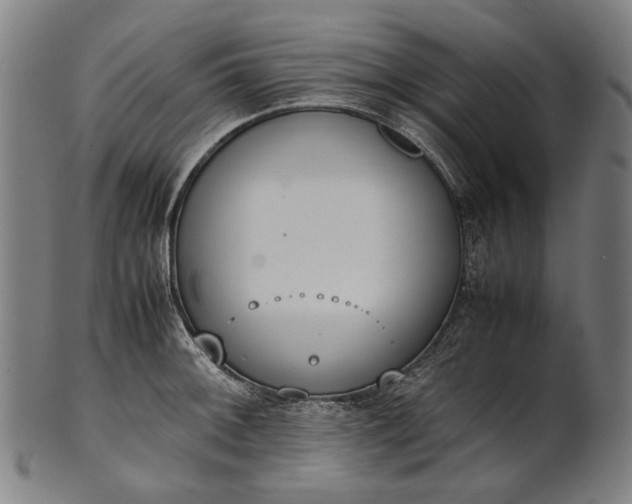 X0000101221092200807111051
