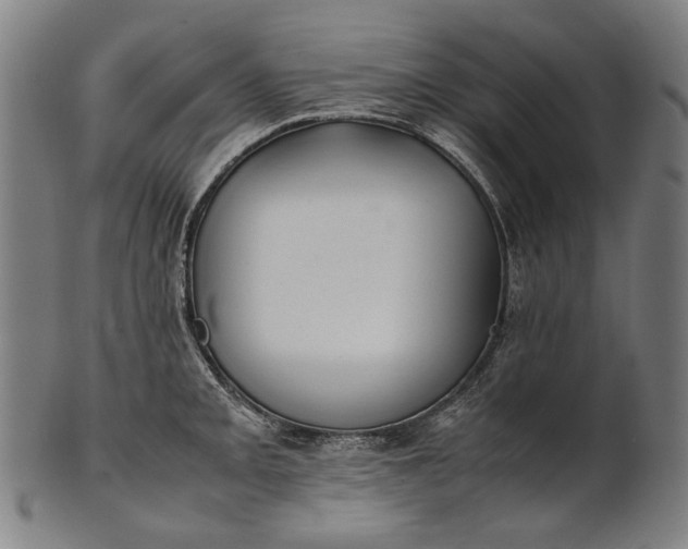 X0000101221093200807111051