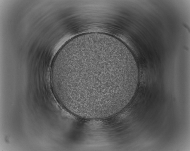 X0000101221094200807111051