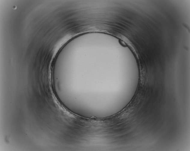 X0000101221096200807111051