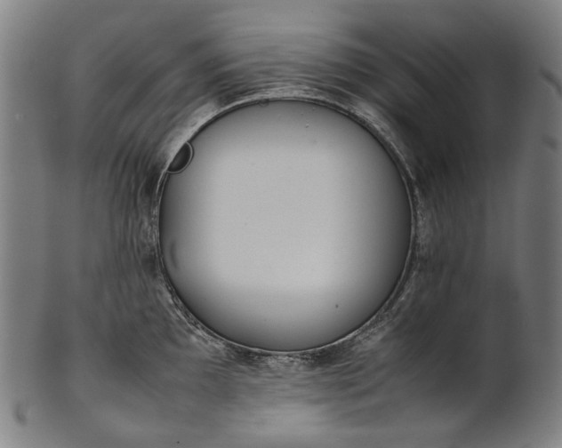 X0000101221097200807111051