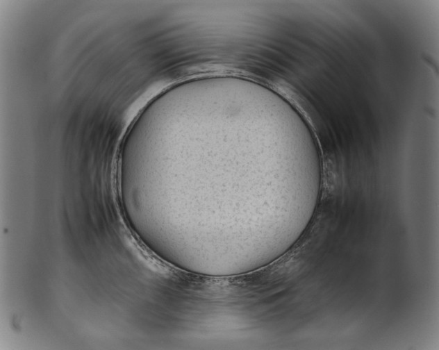 X0000101221098200807111051