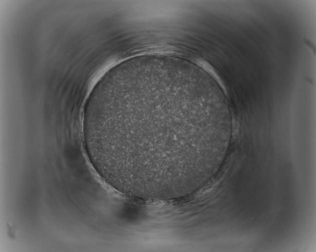X0000101221099200807111051