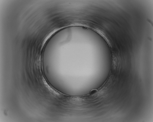 X0000101221100200807111051