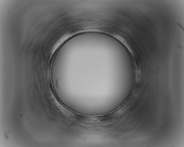 X0000101221101200807111051