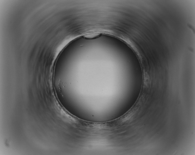 X0000101221102200807111051
