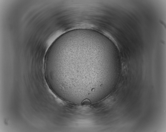 X0000101221103200807111051