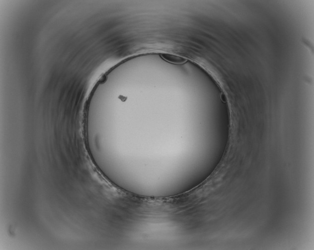 X0000101221104200807111051