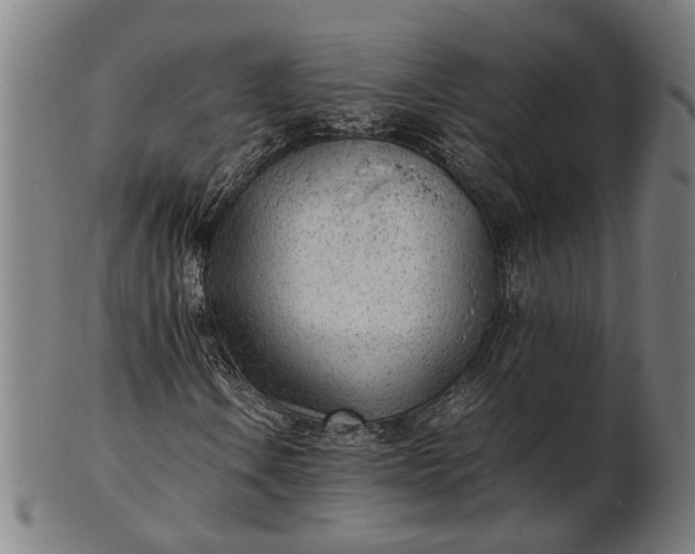 X0000101221106200807111050