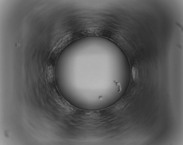 X0000101221107200807111050