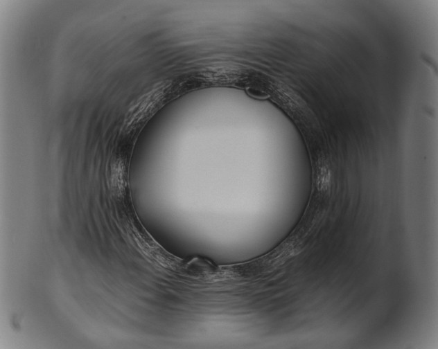 X0000101221108200807111050