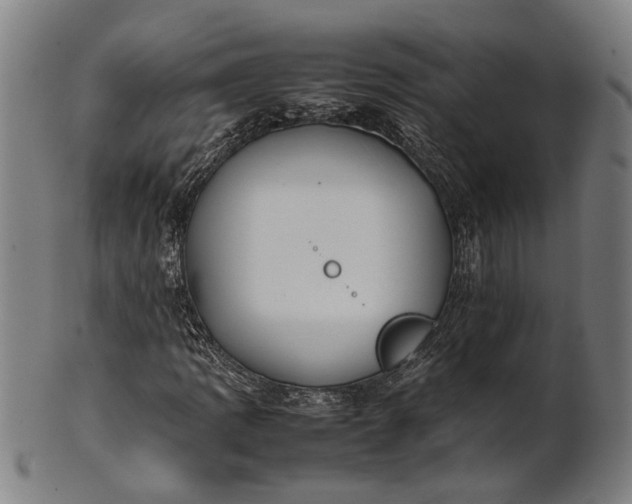 X0000101221109200807111050
