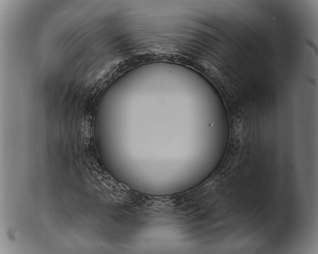 X0000101221110200807111050